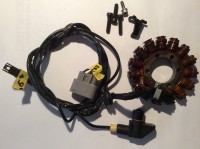 BMW original S1000RR K46 Lichtmaschine Generator S 1000 R RR Stator Alternator 12317718420 BMW original S1000RR K46 Lichtmaschine Generator S 1000 R RR Stator Alternator 12317718420