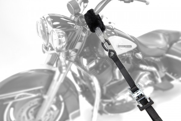 ACEBIKES Spanngurtset Deluxe Duo, mit Ratsche