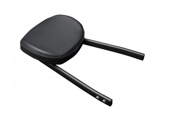 HIGHWAY HAWK Sissybar COMFORT, schwarz